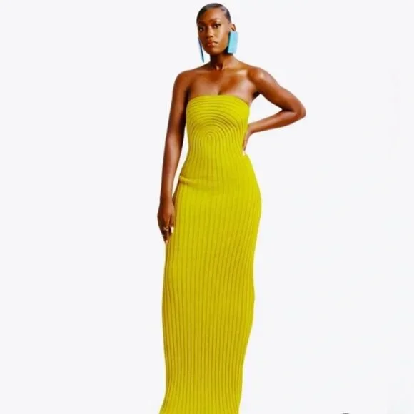 Hanifa Roxi Knit Tube Maxi size Small BNWT - Picture 1 of 7